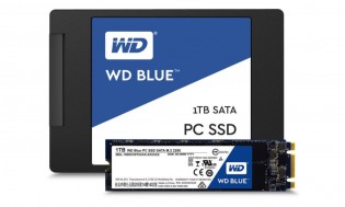 西方数码与蓝色和绿色驱动器进入SSD市场