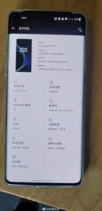 OnePlus 8 Pro单元在野外发现，再次重复规格和设计